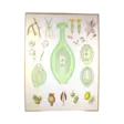 A00006541-20260928120149658.png - Sisustus - A00006541 - 1