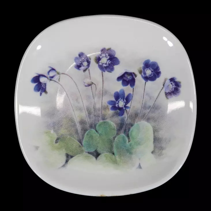 28082025_IMG_0155.jpeg - Käytetyt Seinälautaset - A00002051 - 1