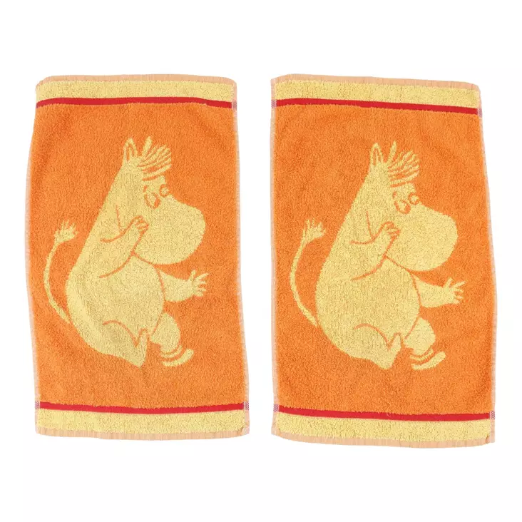 _MG_0012.jpeg - Käytetyt Pyyhkeet - A00001681 - 1