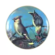 A00006782-20261009104752891.png - Keräilyesineet - A00006782 - 1