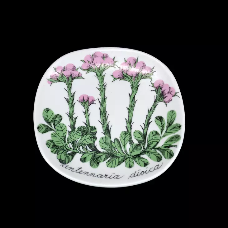 IMG_0524.jpg - Käytetyt Seinälautaset - A00003112 - 1