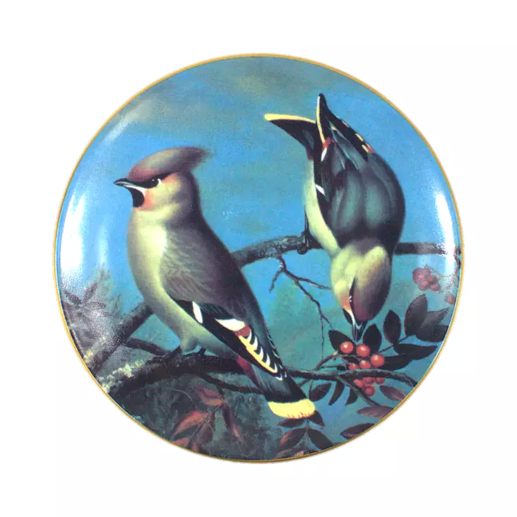 A00006782-20261009104752891.png - Keräilyesineet - A00006782 - 1