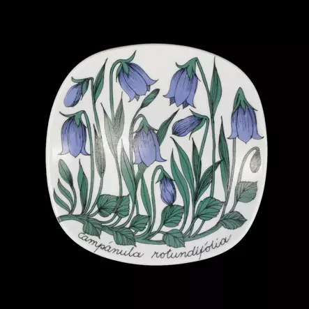 IMG_0025_025.jpeg - Käytetyt Seinälautaset - A00002663 - 1