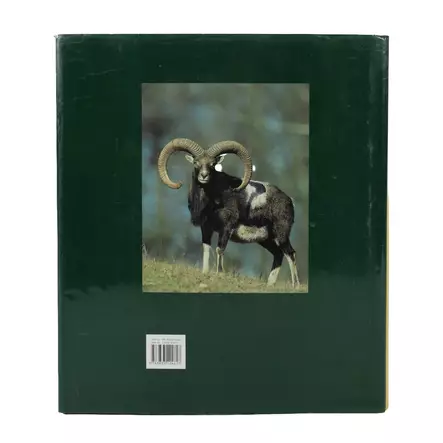 IMG_0346.jpeg - Tietokirjat ja oppaat - A00002583 - 2