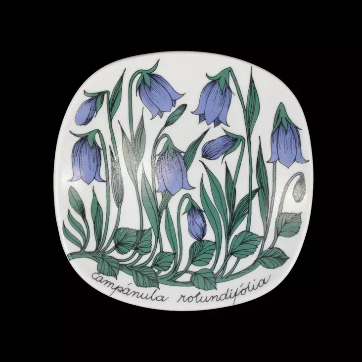 IMG_0025_025.jpeg - Käytetyt Seinälautaset - A00002663 - 1