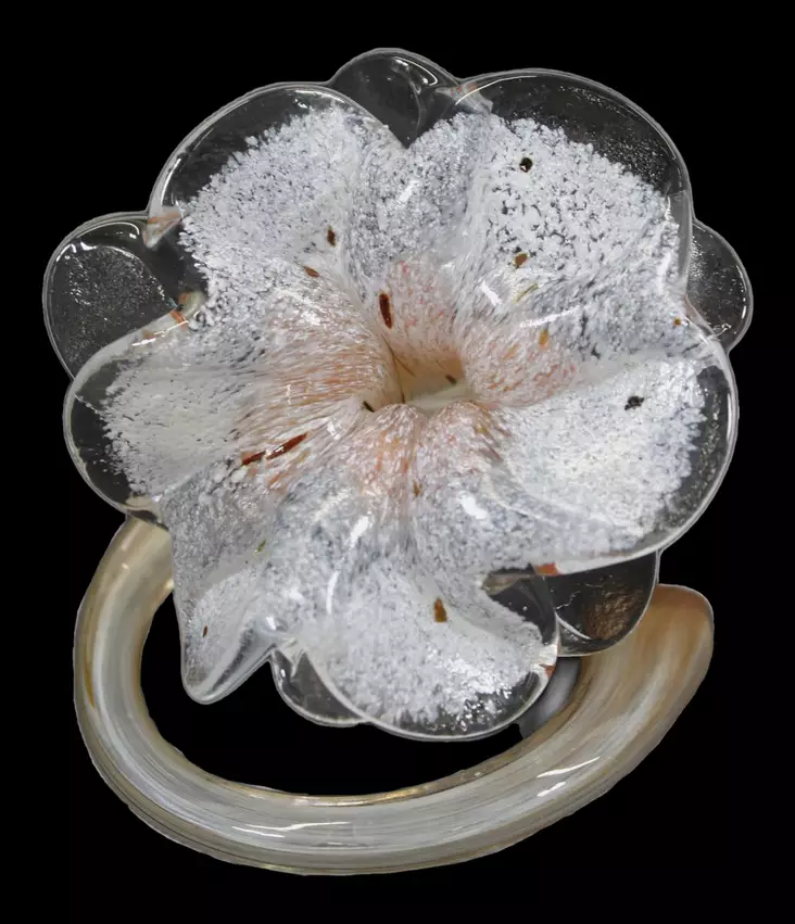 25072025__MG_0644.jpg - Käytetyt Koriste-esineet - A00001123 - 1