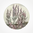 A00006324-20260918122517829.png - Keräilyesineet - A00006324 - 1