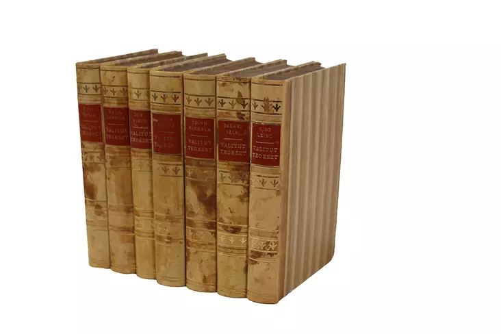 Valitut_teokset_kirjasarja.jpg - Romaanit ja novellit - A00000304 - 1