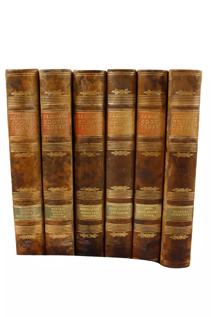 FE_Sillanpaa_kootut_teokset_1_6_kirjakokoelma.jpg - Romaanit ja novellit - A00000454 - 1