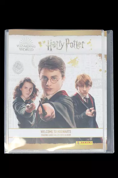 IMG_0066.jpg - Seurapelit - A00000936 - 1