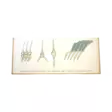 A00006546-20260928120541423.png - Sisustus - A00006546 - 2
