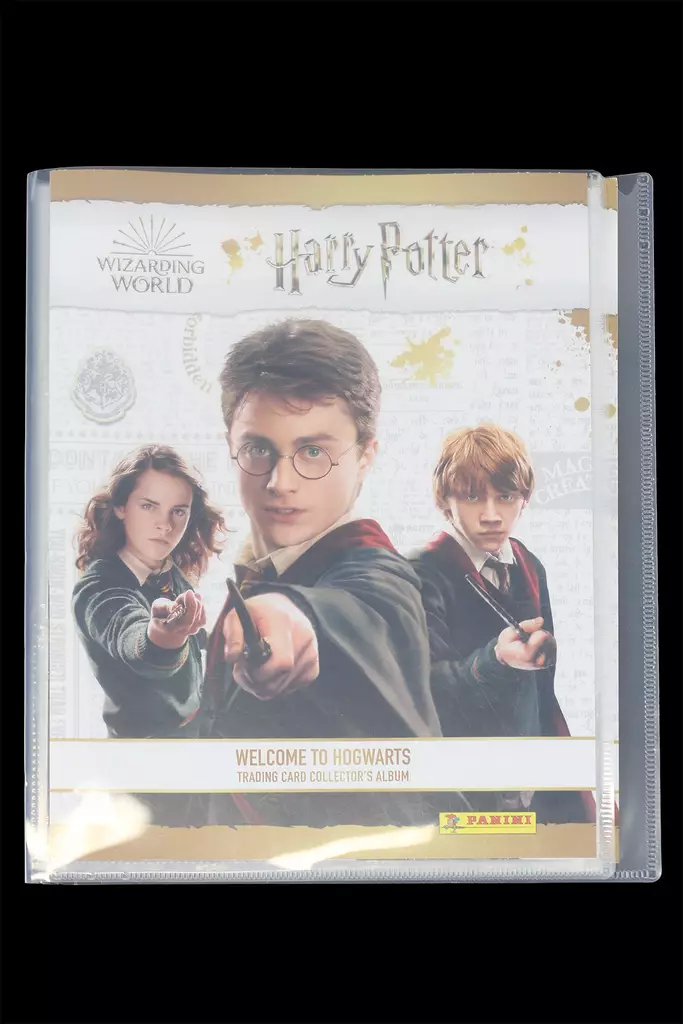 IMG_0066.jpg - Seurapelit - A00000936 - 1