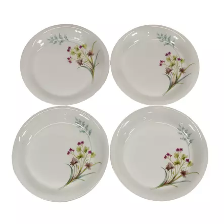 A00004078-20260312083557851.jpg - Käytetyt Lautaset ja kulhot - A00004078 - 1