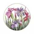 A00006628-20261002094824570.png - Keräilyesineet - A00006628 - 1