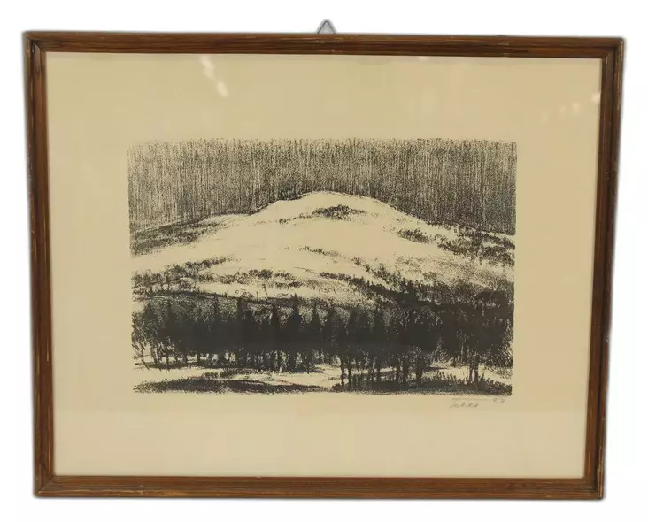 28072025_IMG_0364.jpg - Käytetyt Taulut ja julisteet - A00001138 - 1