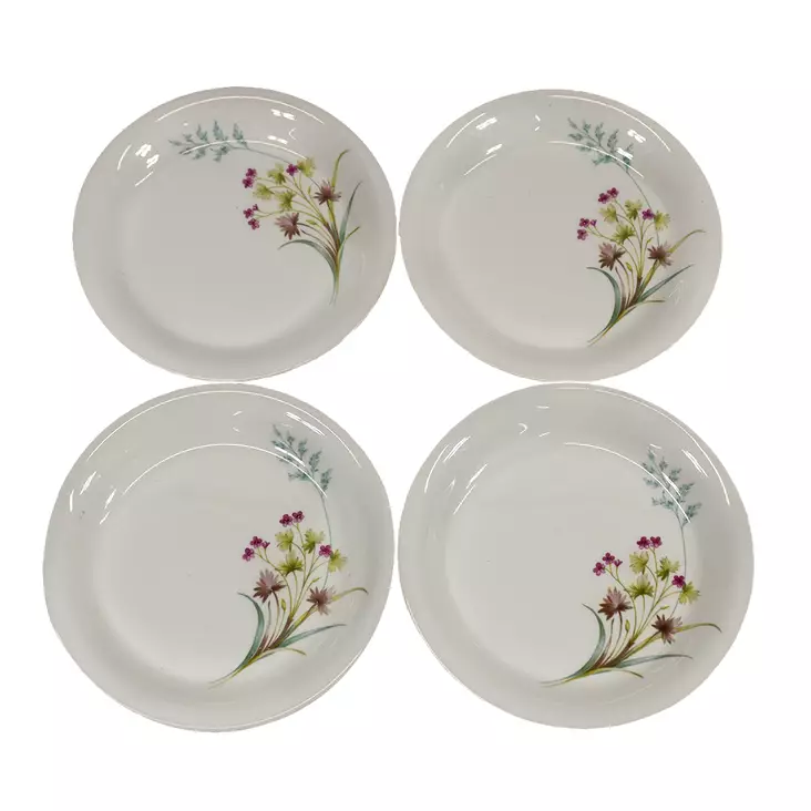 A00004078-20260312083557851.jpg - Käytetyt Lautaset ja kulhot - A00004078 - 1